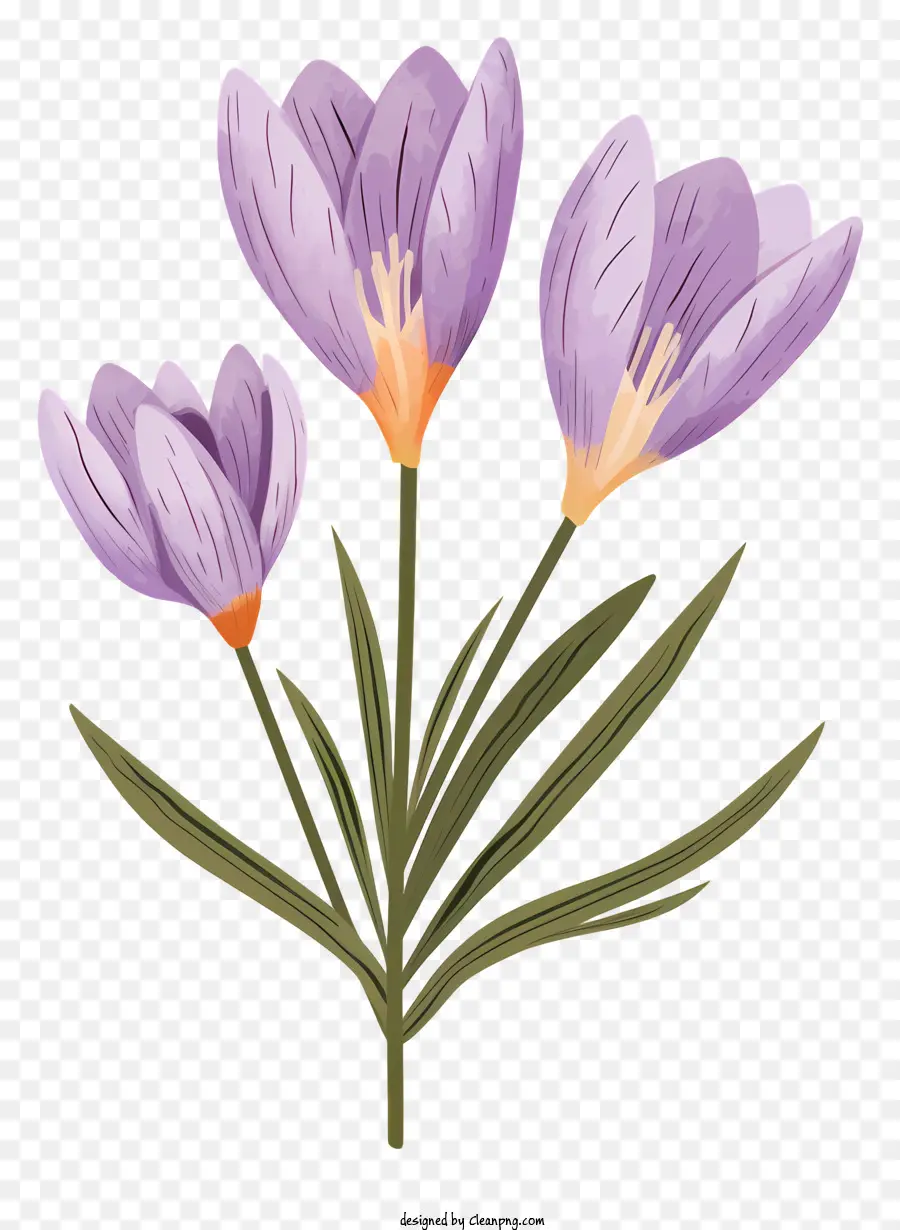 Fleurs Violettes，Fleurir PNG