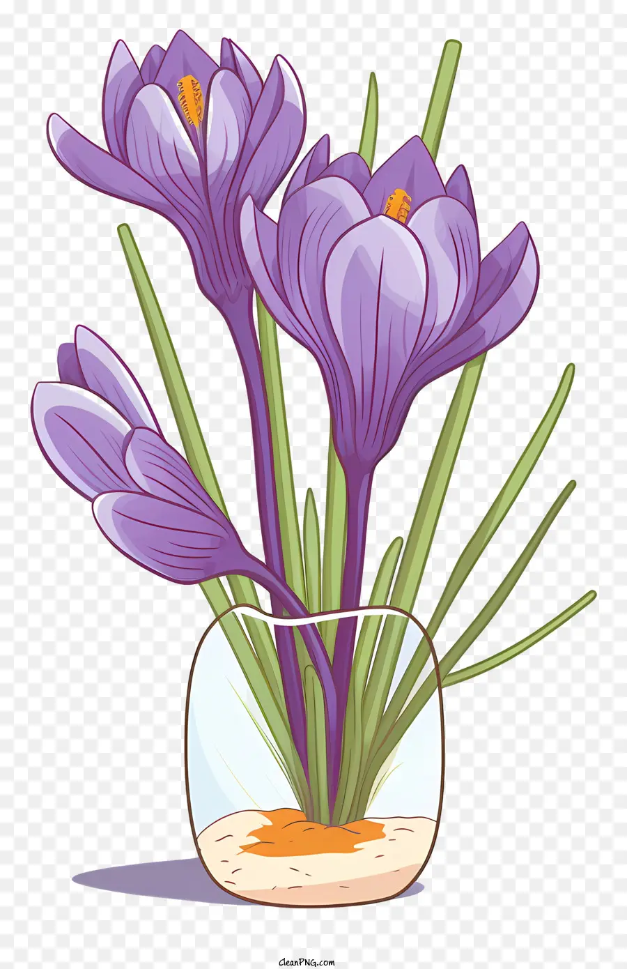 Crocus Violets，Fleurs PNG