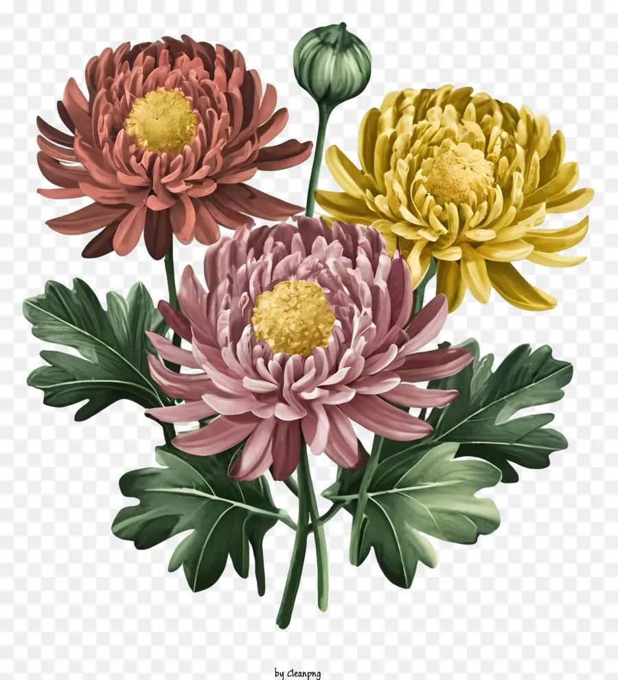 Bouquet，Chrysanthèmes PNG