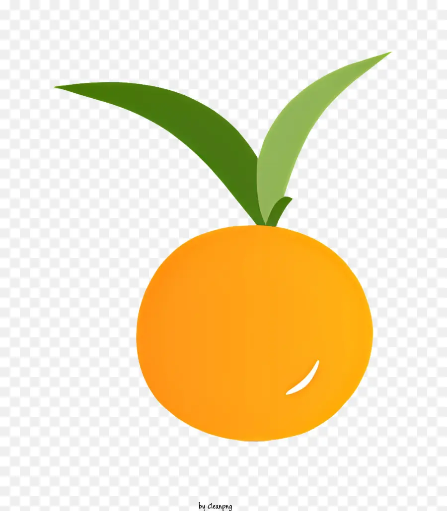 L'orange Bien Mûre，Tige Verte PNG