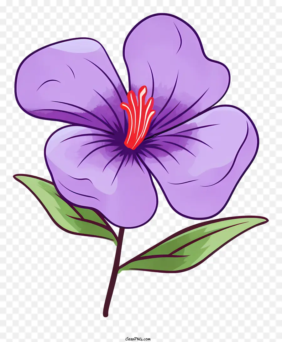 La Fleur De Violette，Cinq Pétales PNG