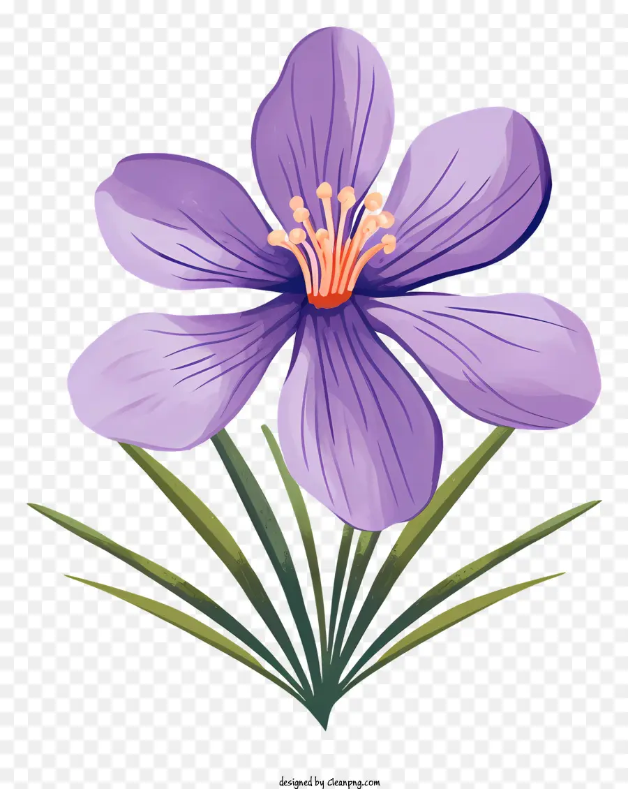 Fleur Violette，Fleurir PNG