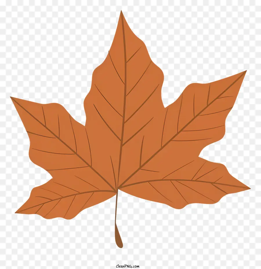 Feuille D'érable，Feuille PNG