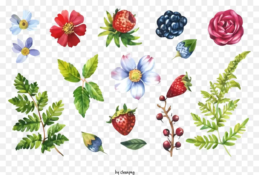 Illustration Aquarelle，Fleurs PNG