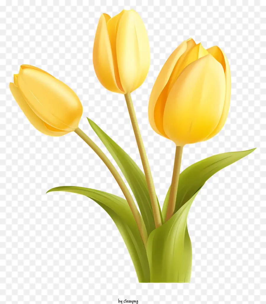 Tulipes Jaunes，Fleurs PNG