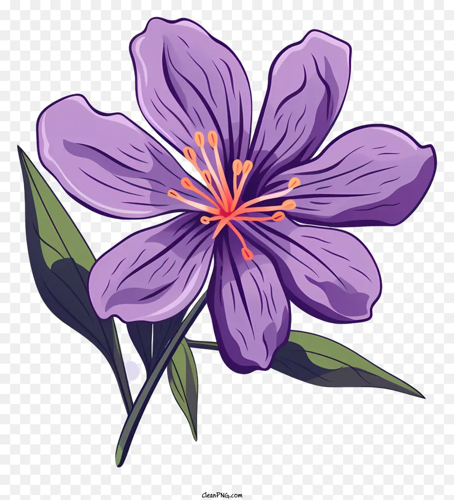 Fleur Pourpre，Bloom PNG