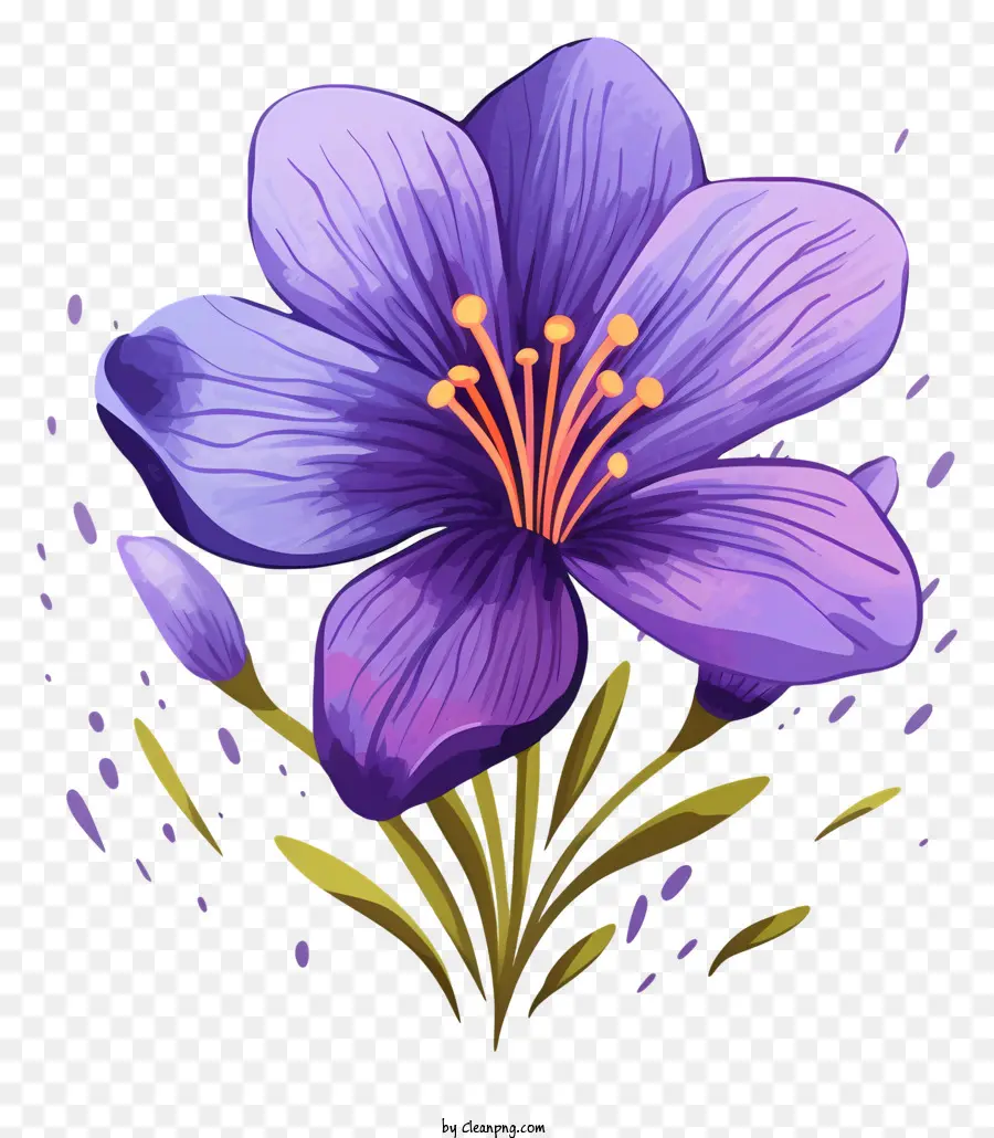 Fleur Nationale De L'iran，Fleur De Safran Violet PNG