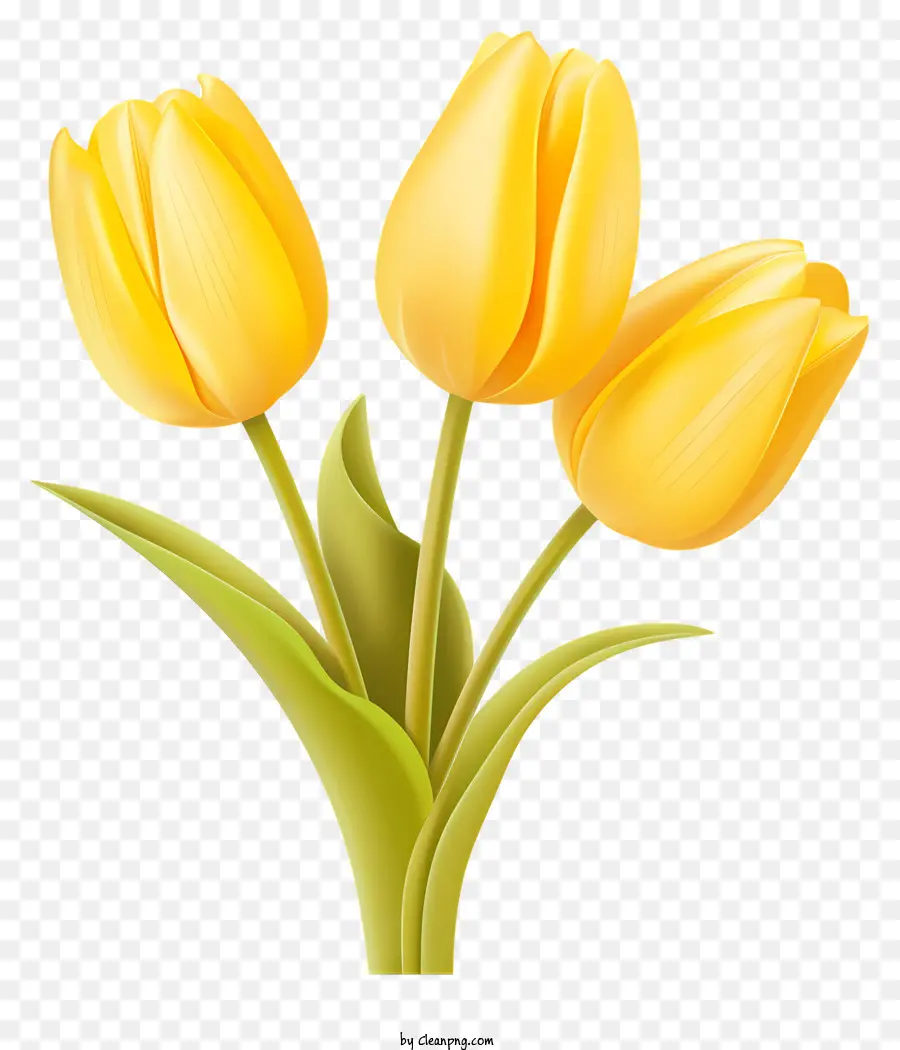 Tulipes Jaunes，Vase PNG