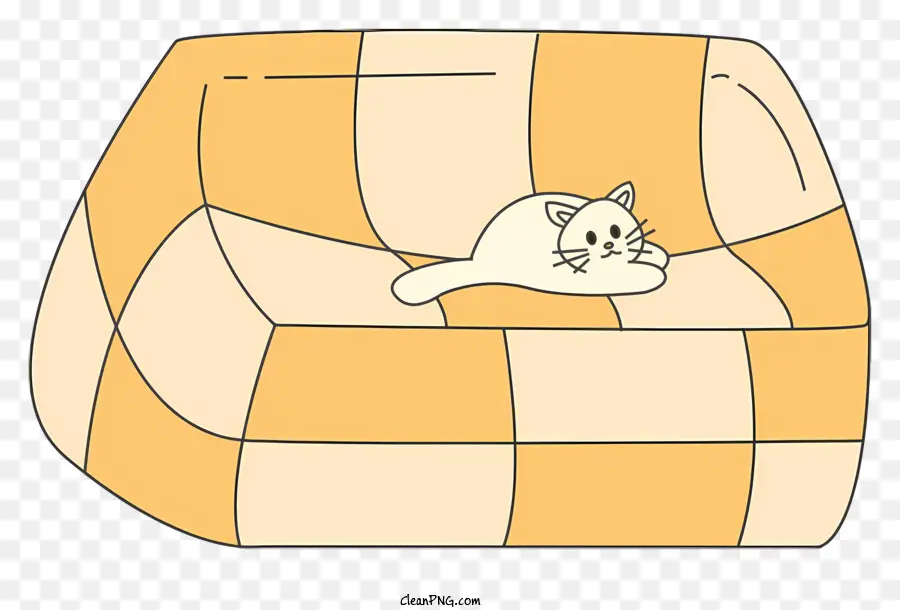 Chat，Blanc PNG