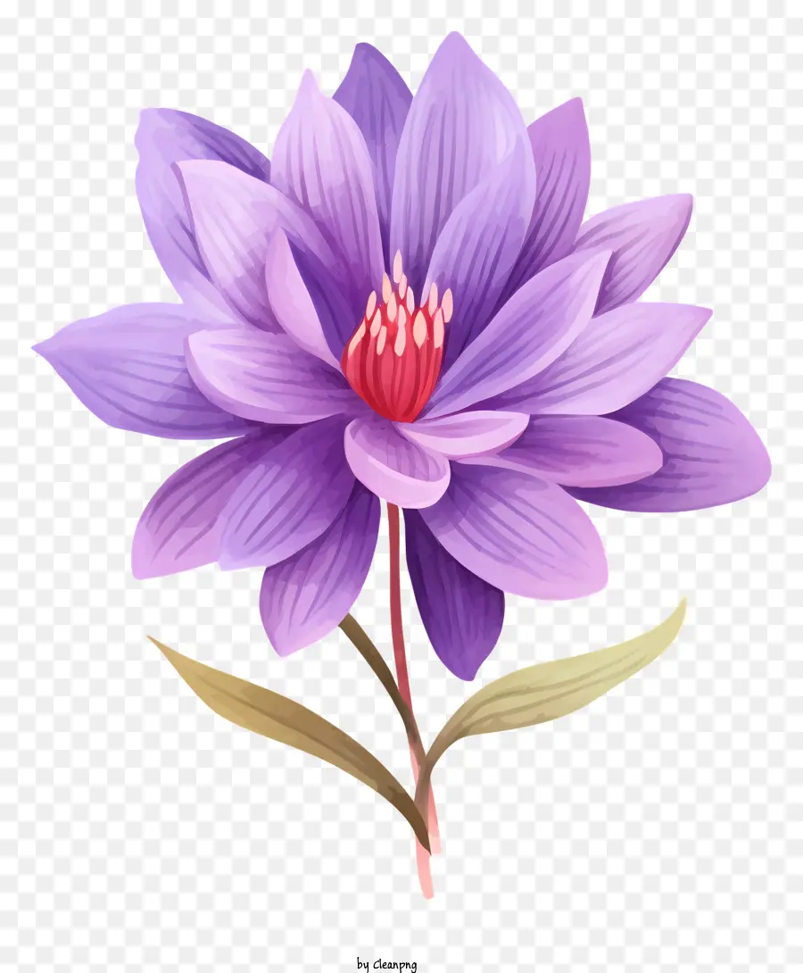 Fleur De Lotus，L'espoir PNG