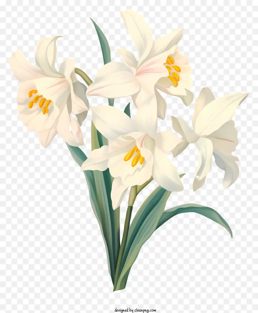 Fleurs Blanches，Bouquet PNG
