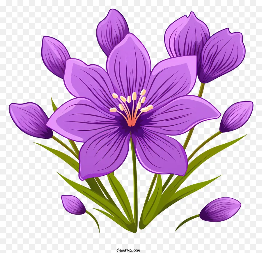 Bouquet De Lys，Fleurs Violettes Foncées PNG