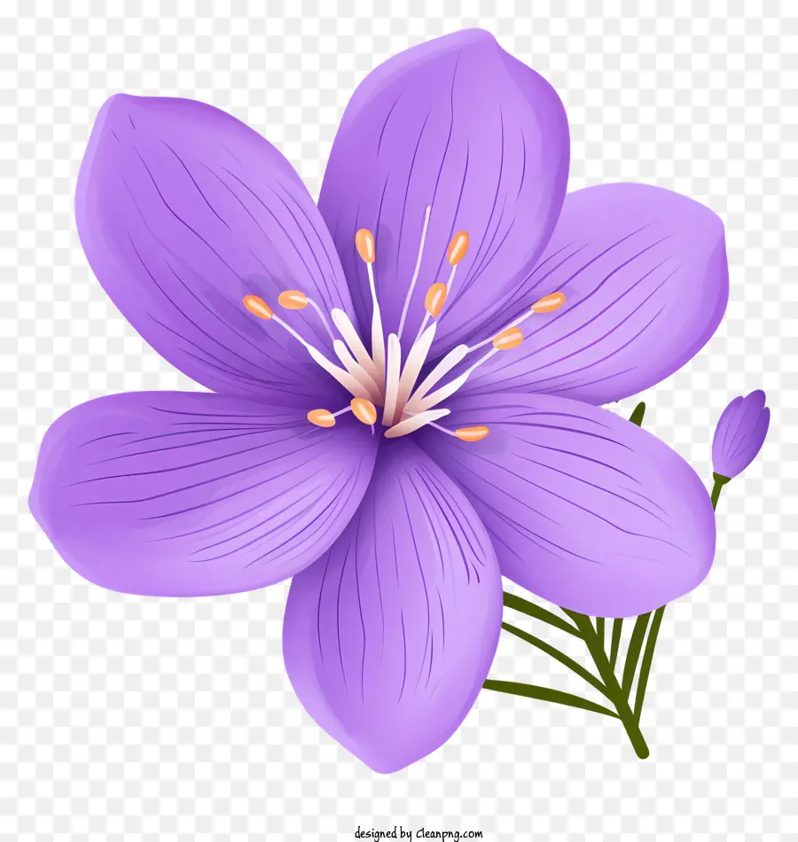 Fleur Pourpre，Fleur Unique PNG