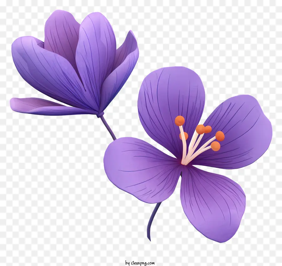 Fleurs，Fleur Violette PNG