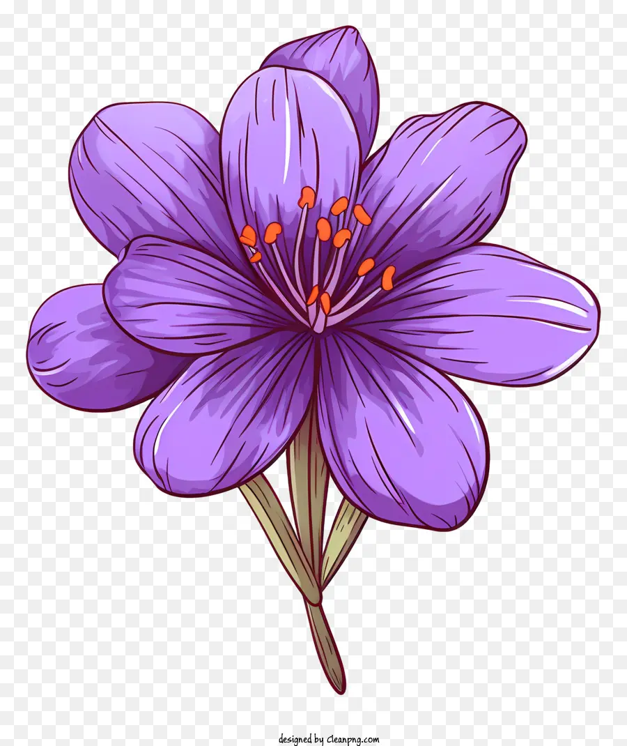 Safran Violet，Fleur Avec Quatre étamines PNG