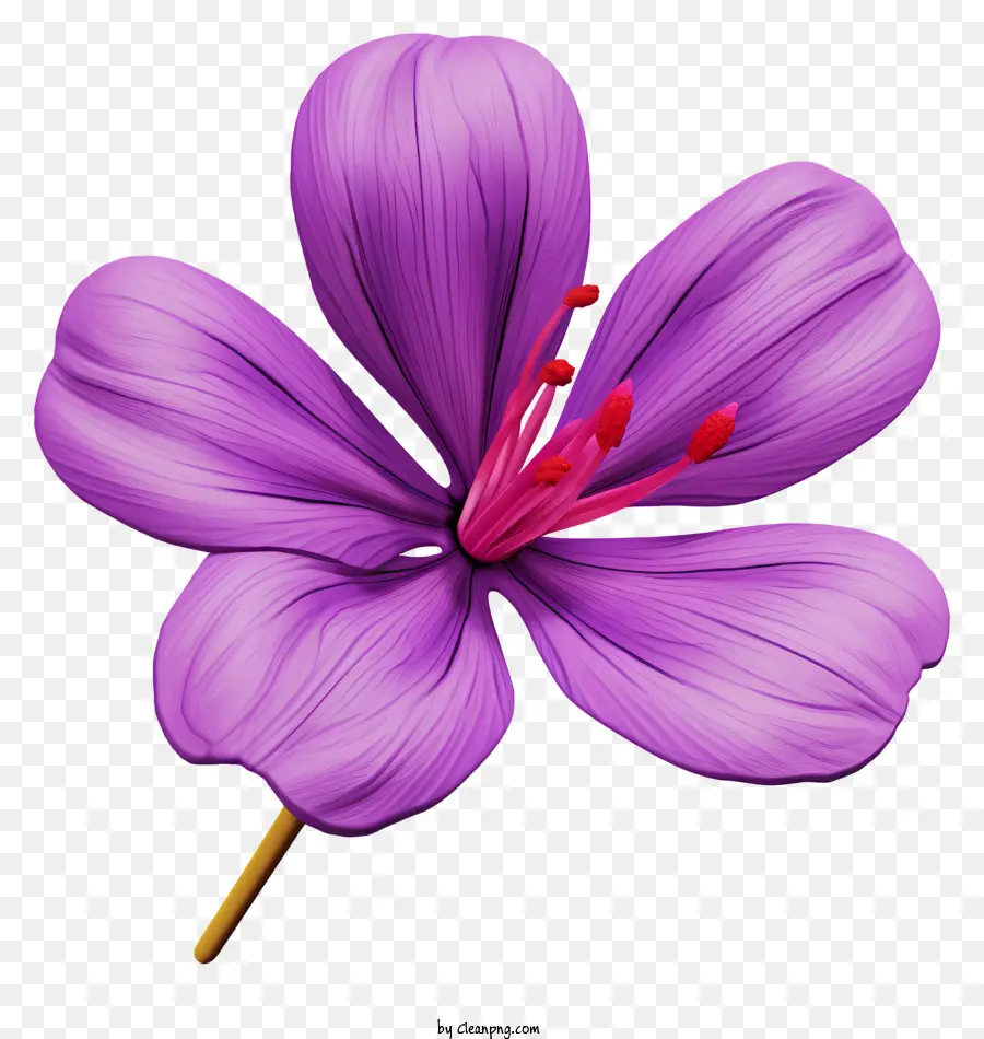 Fleur Pourpre，Fleur De Pétale Unique PNG