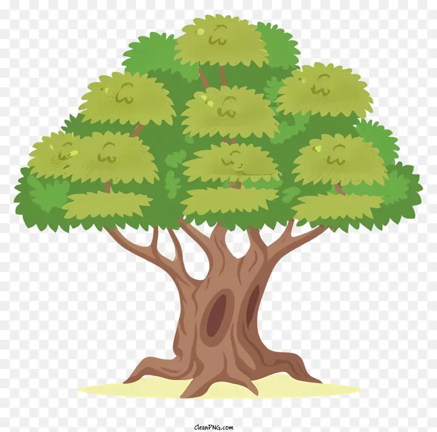 Arbre，Feuilles PNG