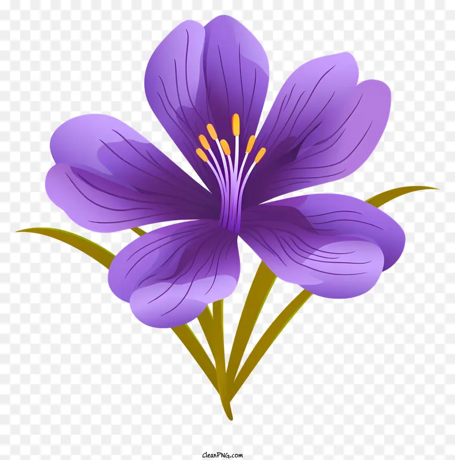 La Fleur De Violette，Cinq Pétales PNG