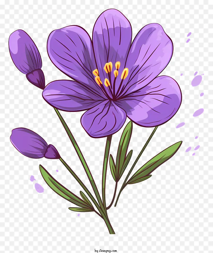 Fleur Violette，Fleurir PNG