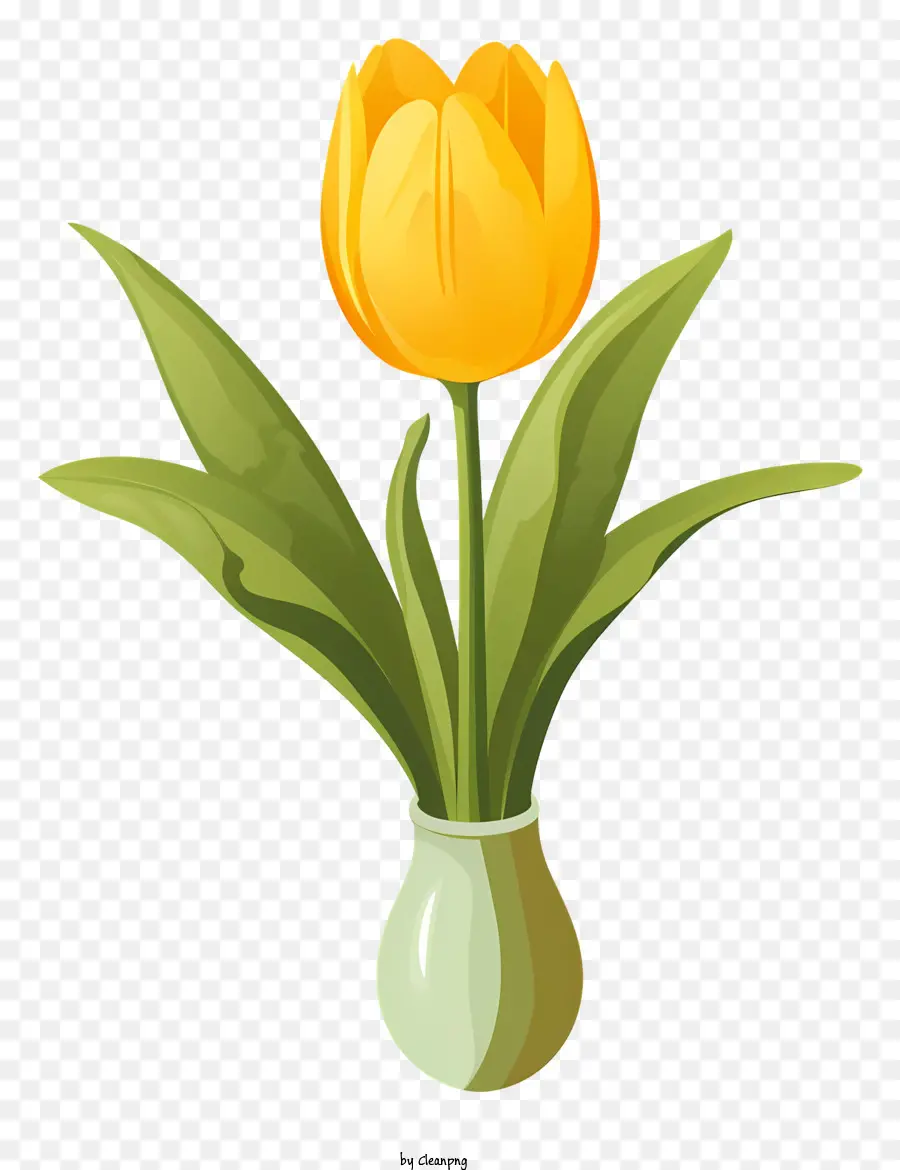 Tulipe Jaune，Vase PNG