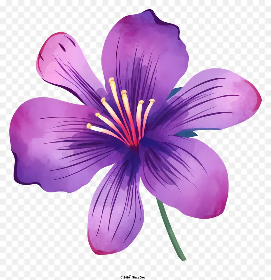 Fleur Pourpre，Cinq Pétales PNG