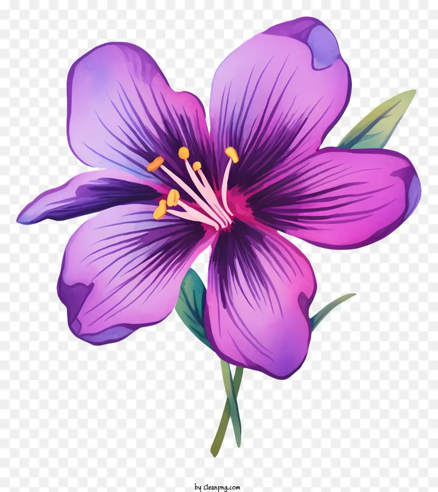 Fleur Violette，Fleurir PNG