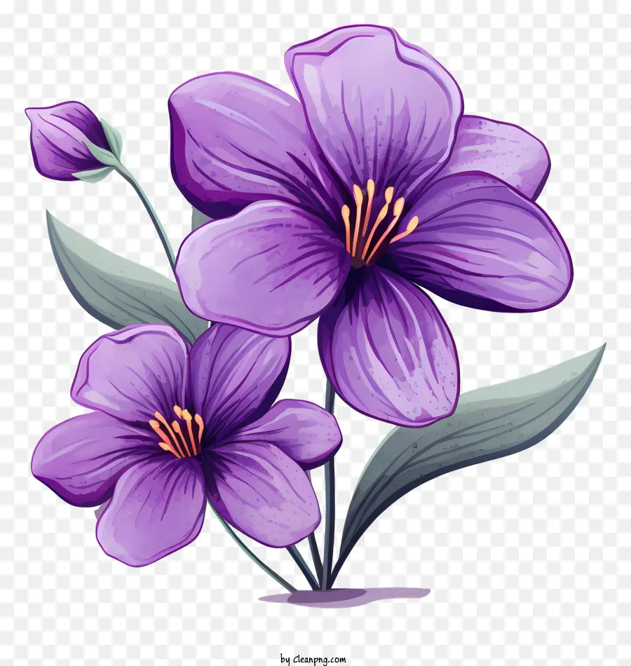 Fleurs Violettes，Fleur Violette PNG