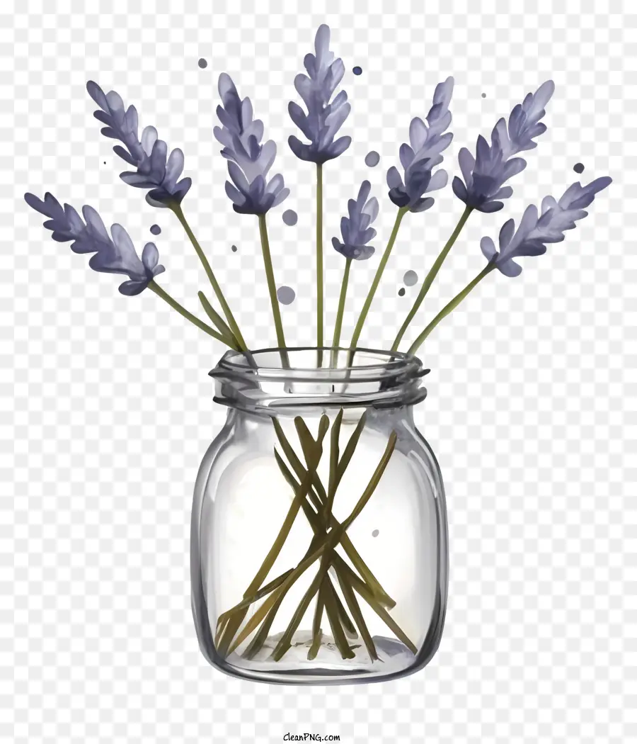 Vase En Verre，Lavande En Pot PNG