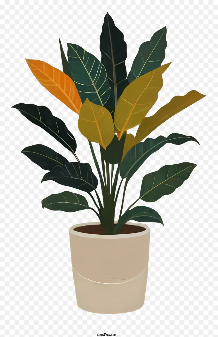 Plante En Pot，Feuilles Vertes PNG