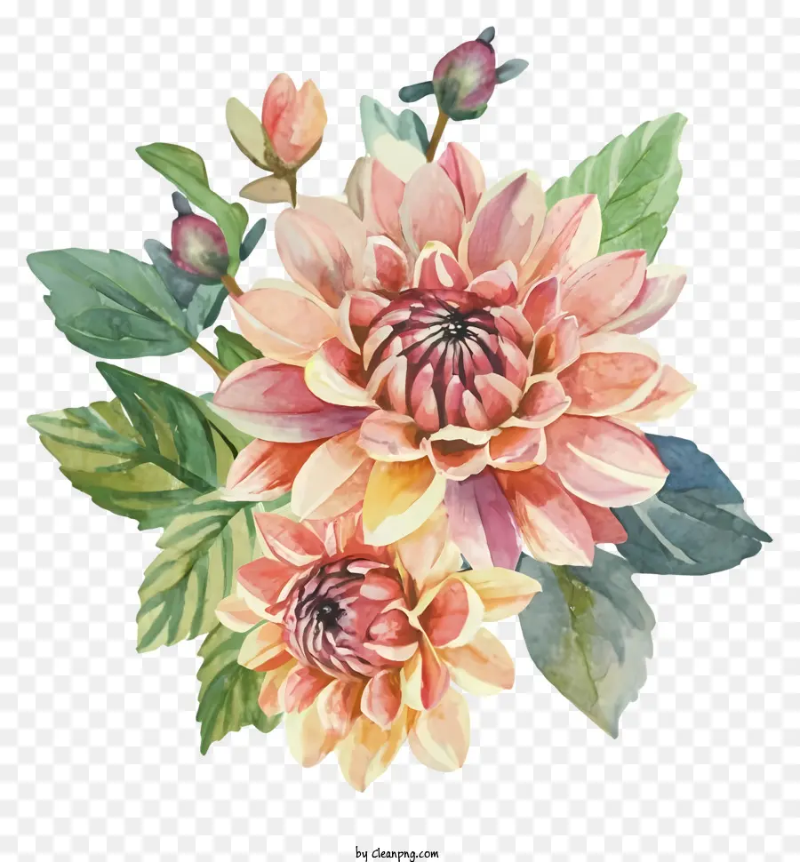 Bouquet，Fleurs Aquarelles PNG