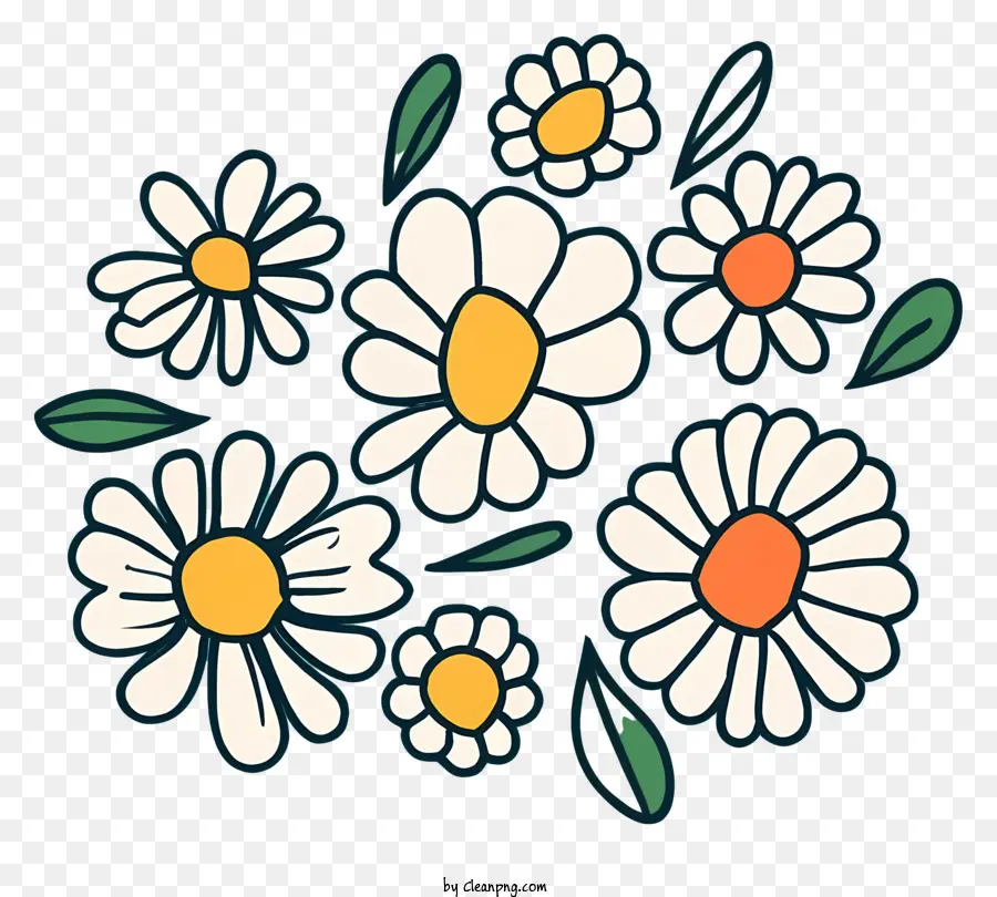 Daisy Fleurs，Arrangement Floral PNG