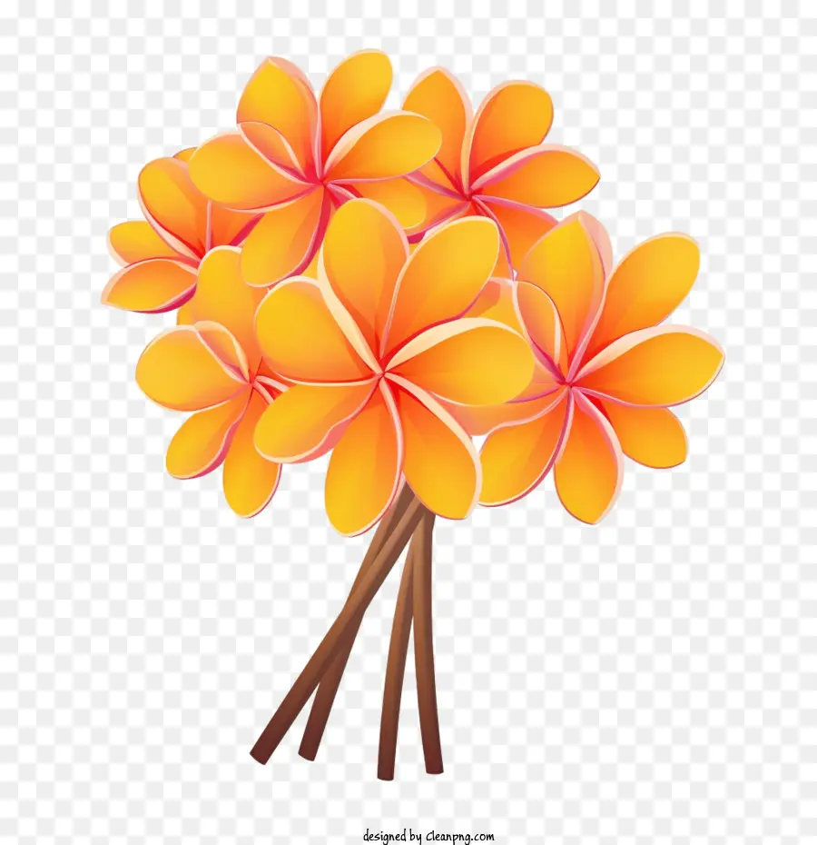 Plumeria Fleurs，Orange PNG