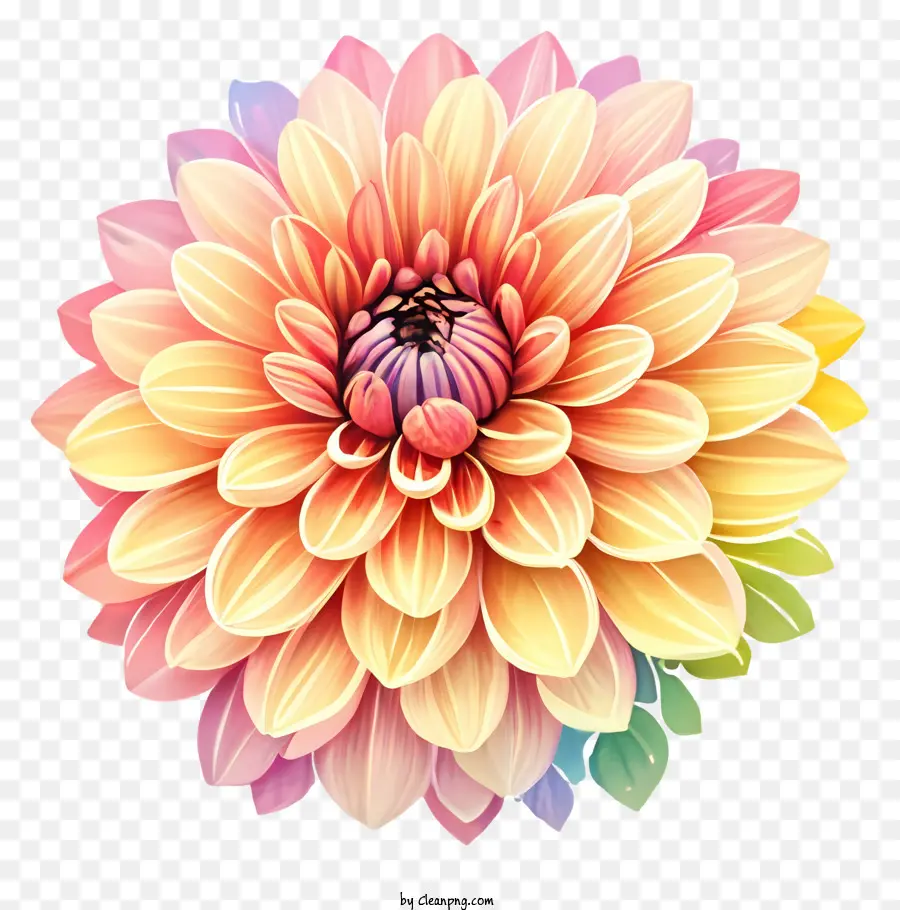 Fleur，Fleur Colorée PNG