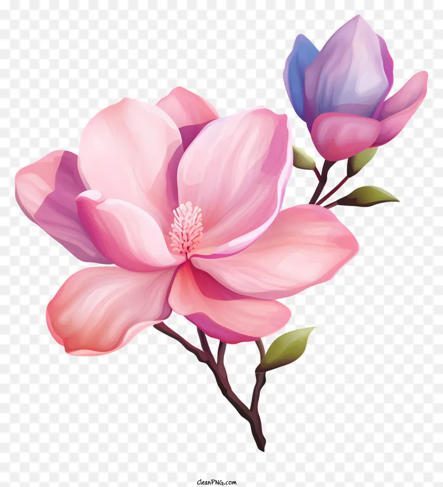Peinture à L'aquarelle，De Rose Et De Violet Fleurs PNG