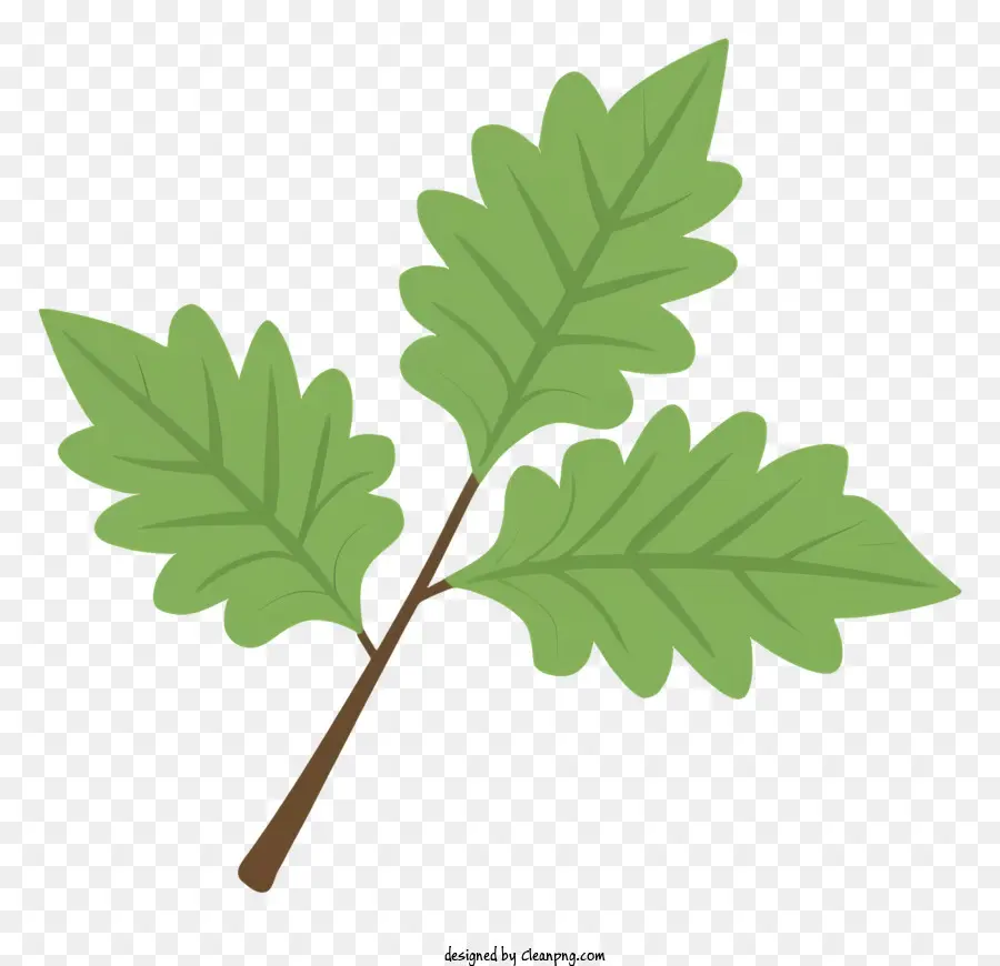 Feuille Verte，Motif De Veine PNG