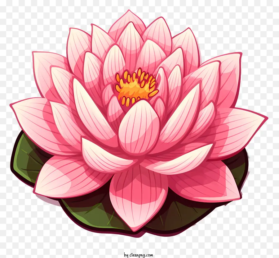 Fleur De Lotus Rose，Lotus Rose PNG