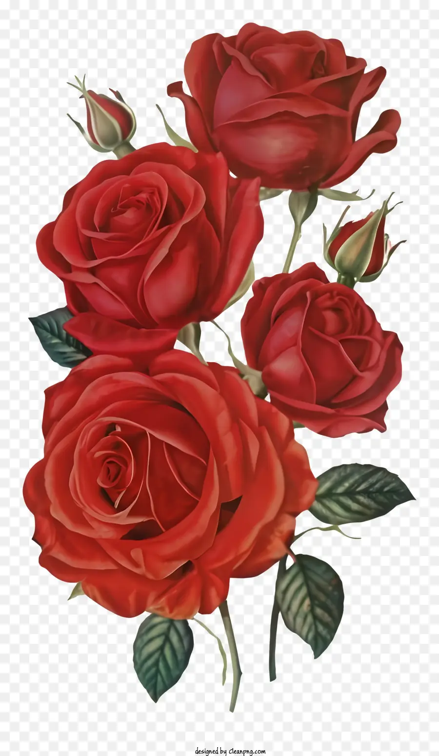 Les Roses Rouges，Arrangement De Bouquet PNG