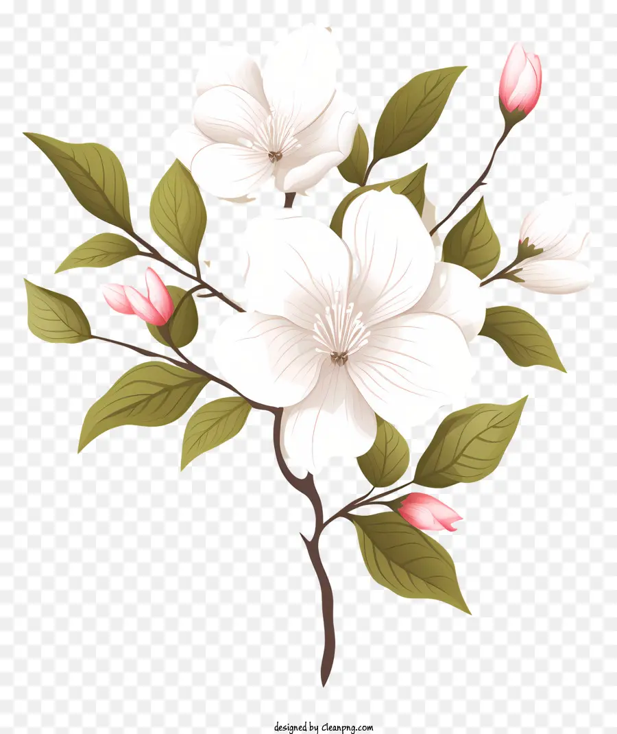 Arbre En Fleurs，Fleur Blanche PNG