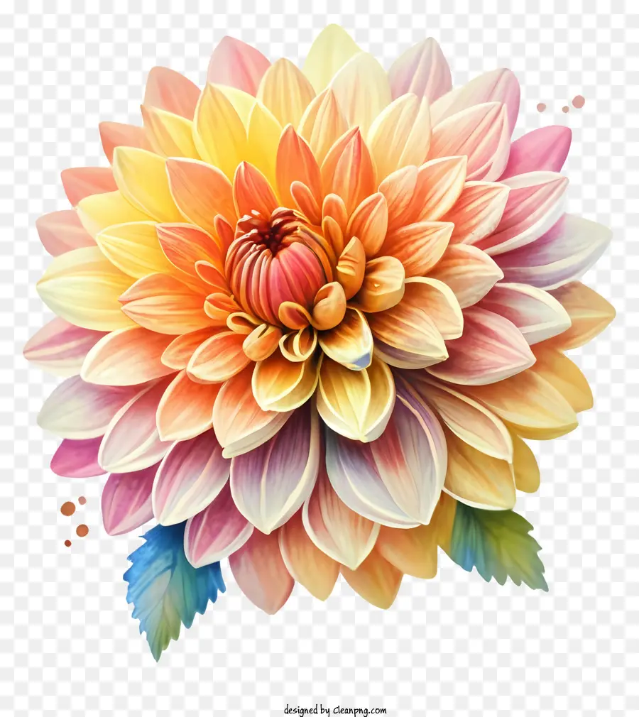 Coloré Fleur，Fleur Exotique PNG