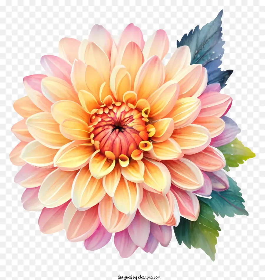 Fleur De Dahlia，Fleur Blanche PNG