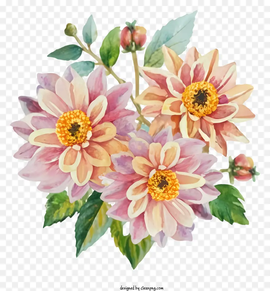 Bouquet，Fleurs PNG