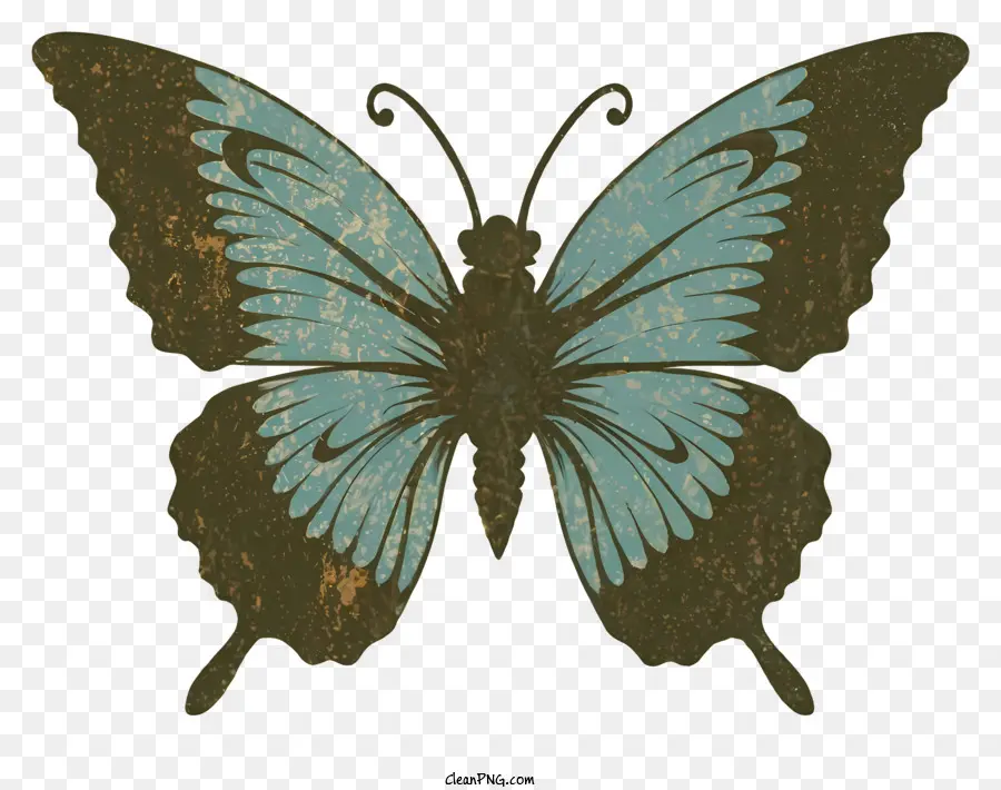 Papillon Bleu，Taches Brunes PNG