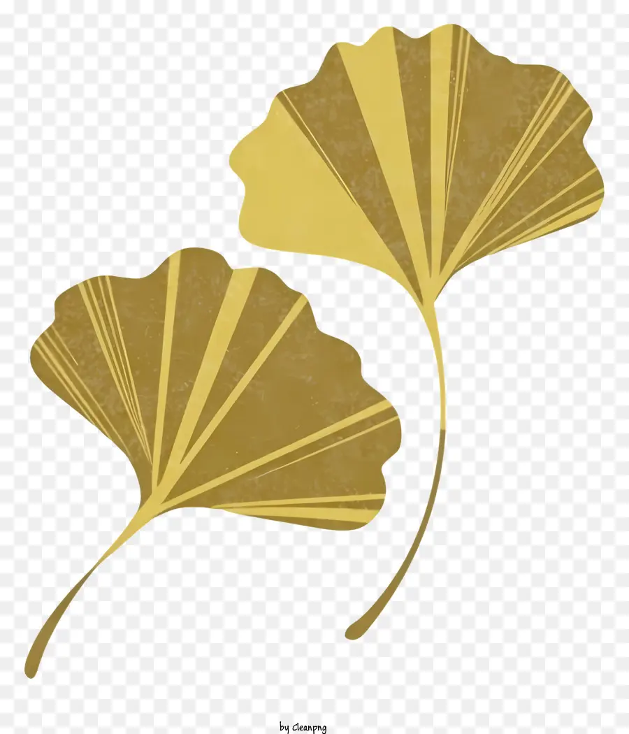 Feuilles D'or，Arrière Plan Noir PNG