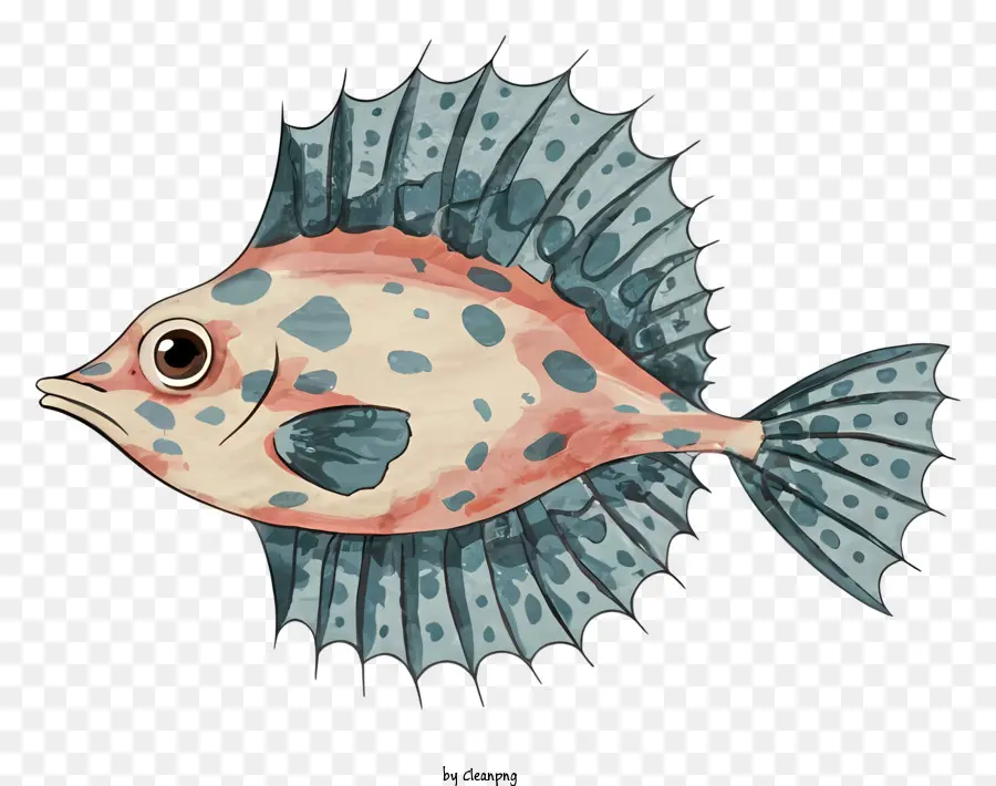 Poisson，Aquatique PNG