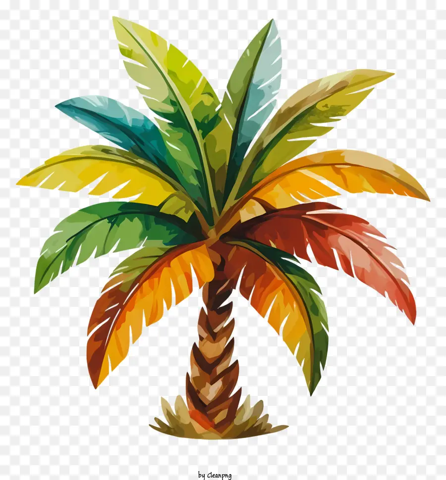 Palmier Tropical，Feuilles Colorées PNG