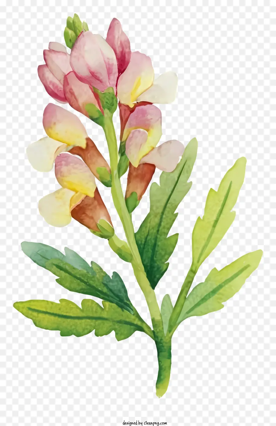 Fleur Peinture，Bouquet De Fleurs PNG