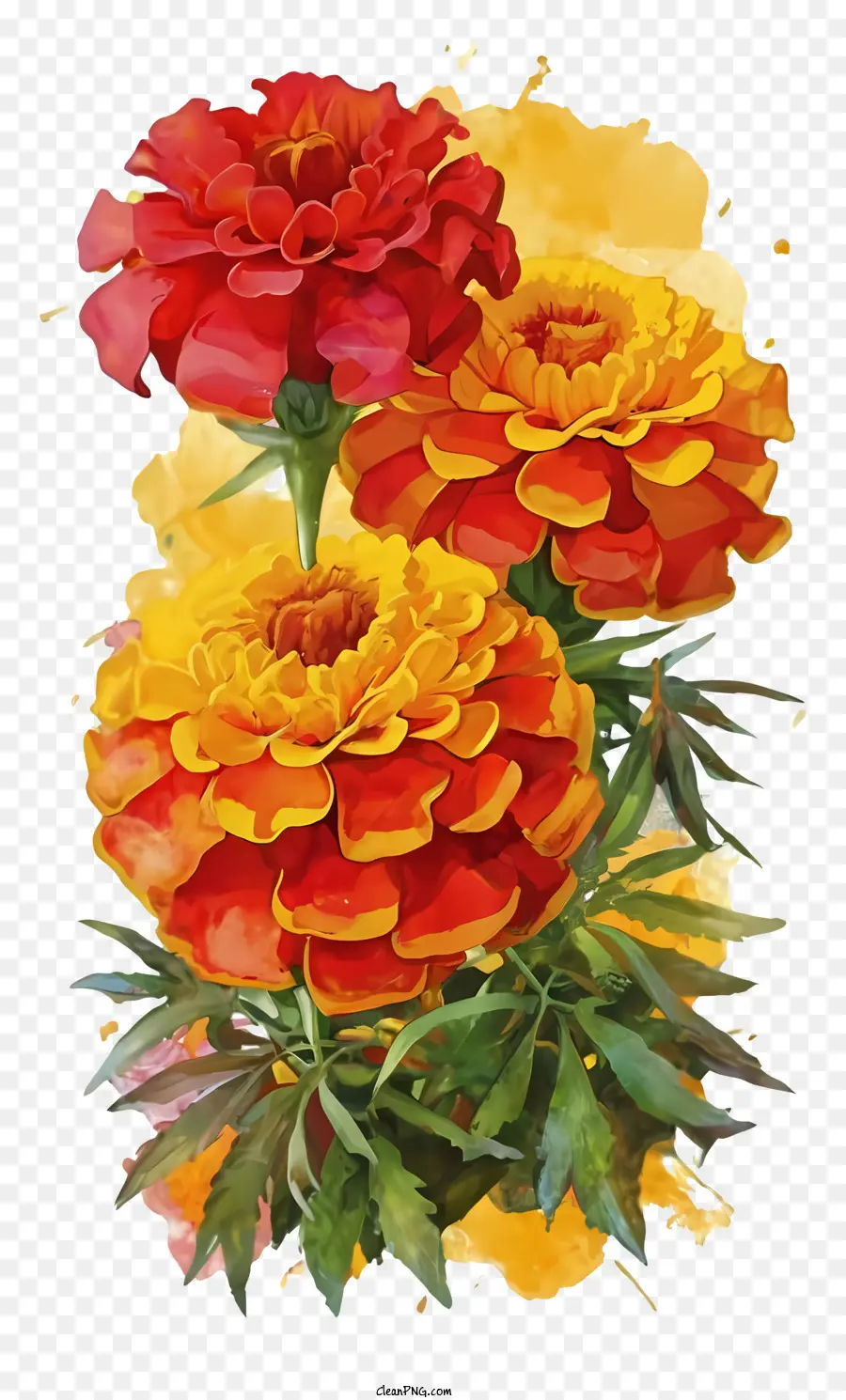 Soucis，Fleurs Colorées PNG