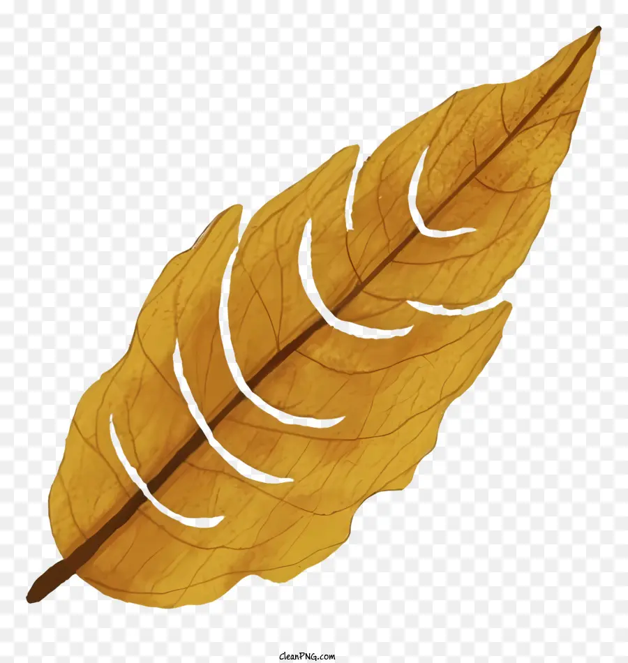 Le Golden Leaf，Feuille Teinte PNG