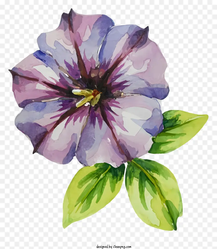 Fleur De Pensée，Fleur Violette PNG