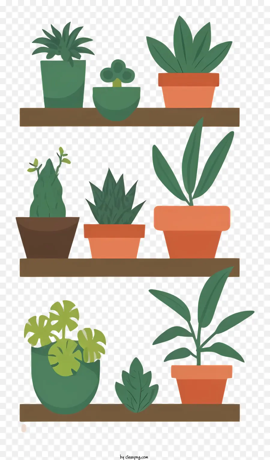 Plantes En Pot，Étagères PNG